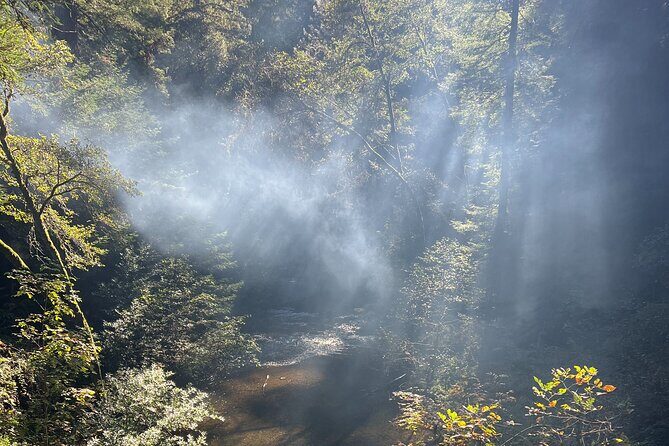 The Secrets of Sacred, Sexy Salmon, Spawning NOW - FAQs About the Sacred Salmon Tour