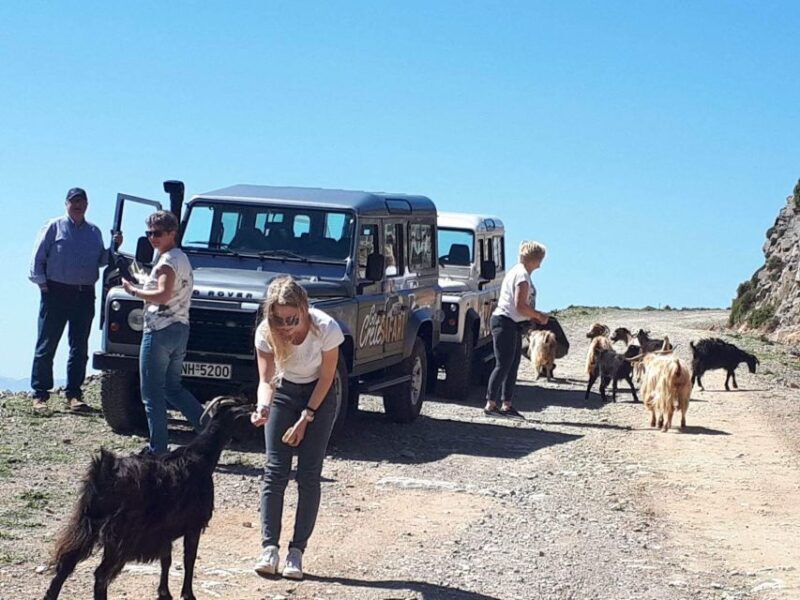 The Secrets Of The Southern Crete Safari tour - Canyon and Waterfall Highlights