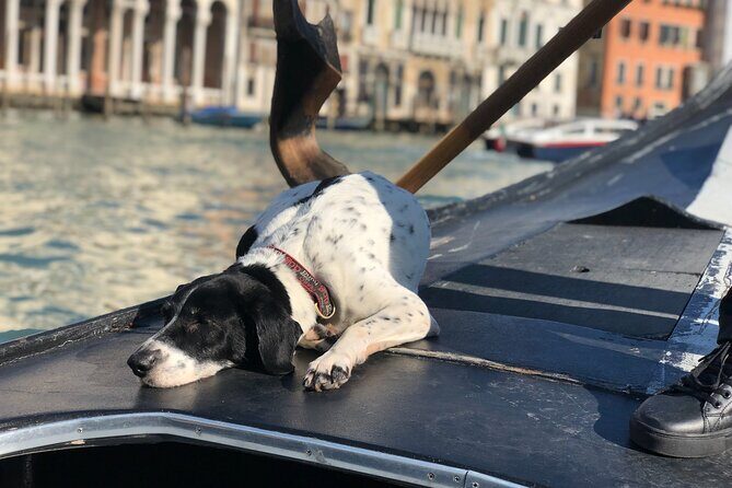 The Secrets of Venice - Who Is This Tour Best For?