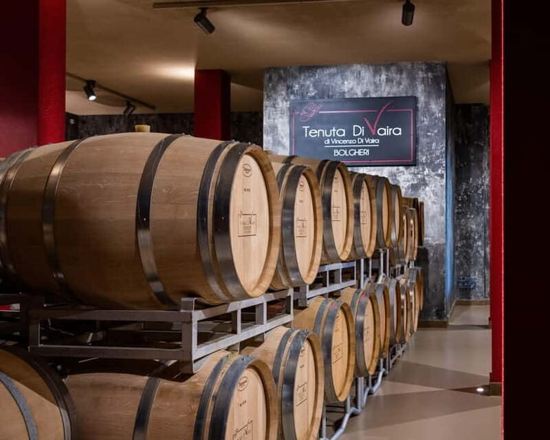 The Selections: visit and tasting in the Bolgheri Doc region - Exploring the Bolgheri Region with Tenuta Di Vaira