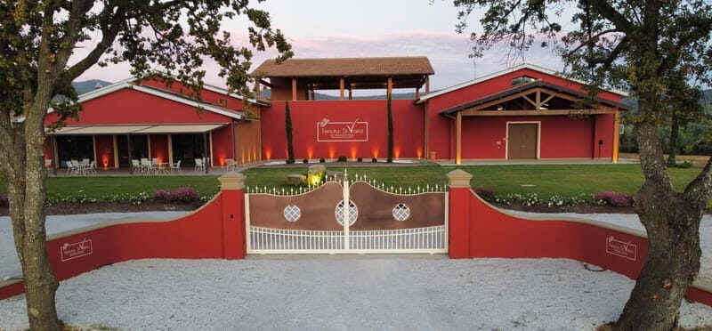 The Selections: visit and tasting in the Bolgheri Doc region - Why This Tour Works for Different Travelers