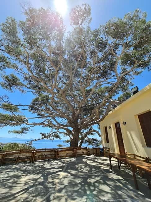 The selective food tour Feel like local from Heraklion - Key Points