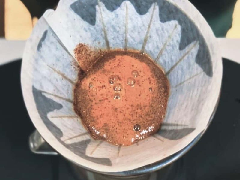 The Specialty Coffee Roastery Tasting Experience in Turin - Final Thoughts