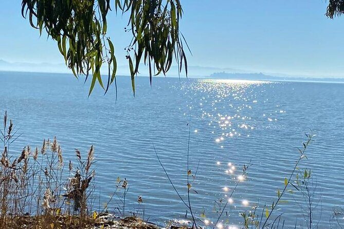 The spell of Lake Trasimeno - Trekking Tour - An In-Depth Look at the Trekking Tour