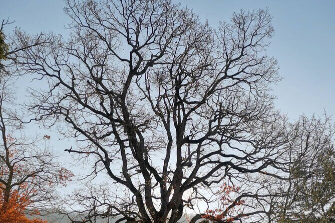 The spell of Lake Trasimeno - Trekking Tour - Why This Tour Might Be Perfect for You