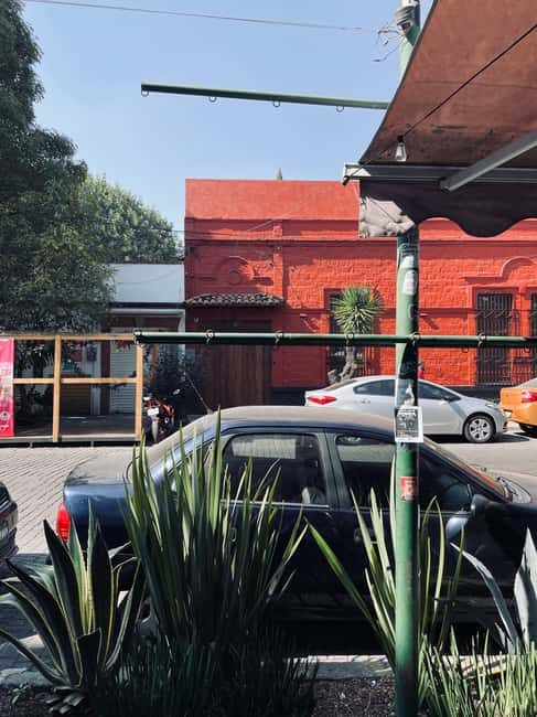 The Steps of Frida: Mexico City - The Sum Up: Who Will Love This Tour?