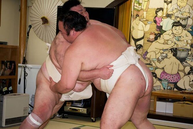 the SUMO show - An In-Depth Look at the Tour