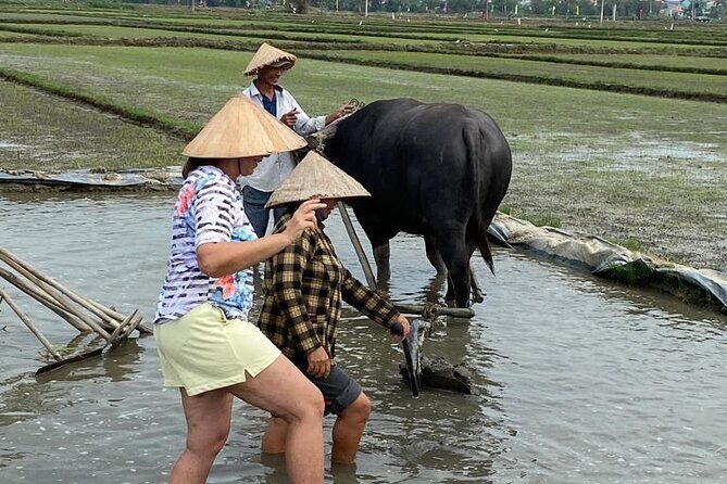 The Sunset Countryside in Hoi An - Who Is This Tour Best For?