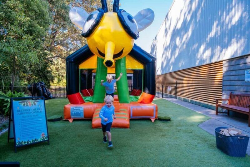 The Sunshine Coast: The Ginger Factory Play All Day - Exploring the Ginger Factory: What to Expect