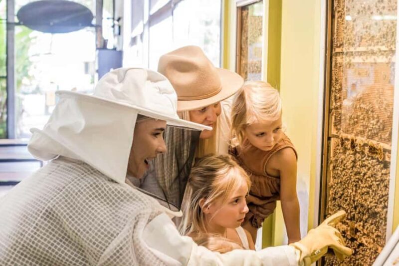 The Sunshine Coast: The Ginger Factory Play Taste & Discover - What Visitors Say