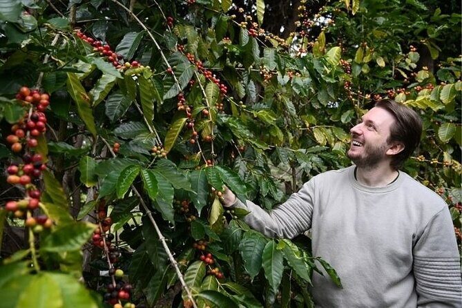 The Tastes of Tamborine Mountain - In-Depth Breakdown of the Itinerary