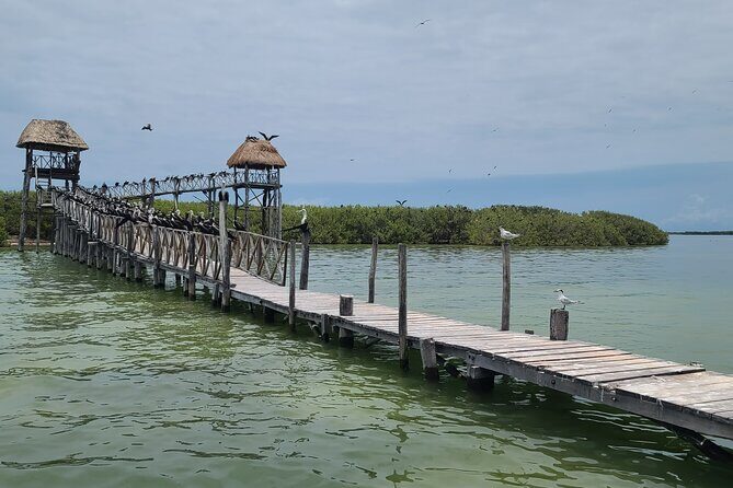 The Three Islands Tour Explore Holbox's Natural Wonders - Final Thoughts: Is It Worth It?