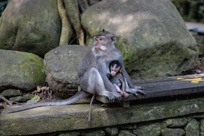 The Three Temples of Bali Half Day Private Tour - Exploring the Itinerary in Detail