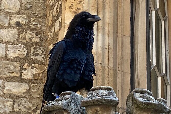 The Tower of London - Small Group Tour with a Local Expert - Final Thoughts: Is This Tour Worth It?