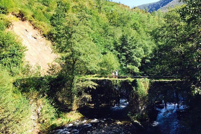 The Train Track Trail Mountain Bike Ride - Private experience - How Does the Price Stack Up?