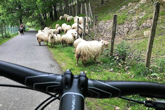 The Train Track Trail Mountain Bike Ride - Private experience - FAQs