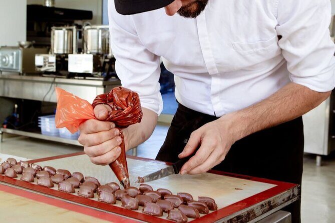 The Turin Chocolate Factory Guided Tour & Tasting - A Deep Dive into the Turin Chocolate Factory Guided Tour & Tasting