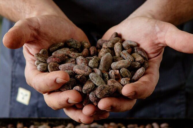 The Turin Chocolate Factory Guided Tour & Tasting - Who Is This Tour Perfect For?