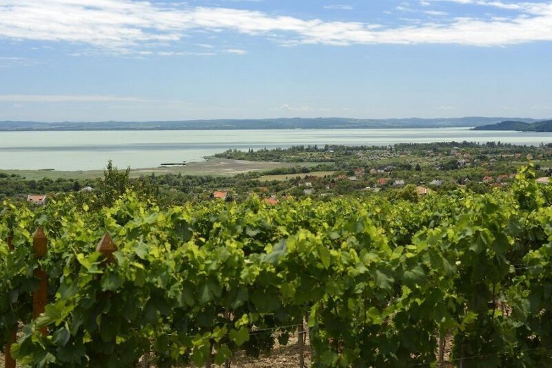The Turquoise Sea of Hungary: Lake Balaton Private Tour - Authentic Experiences and Authenticity