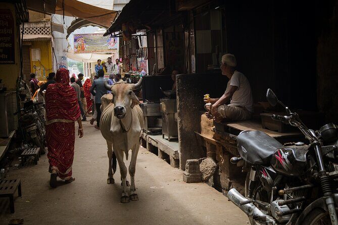 The Ultimate 3 Days in Varanasi - How to Spend 39 Hours - For First Timers - Who is This Tour Best Suited For?