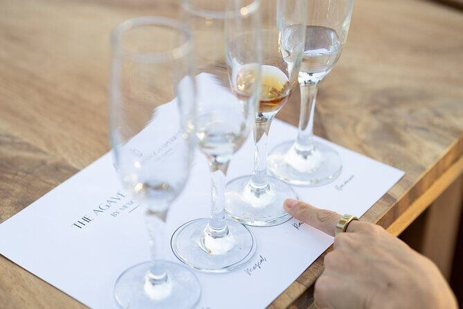 The Ultimate Agave Tasting with Tequila, Mezcal & more! - Who Will Love This Tour?