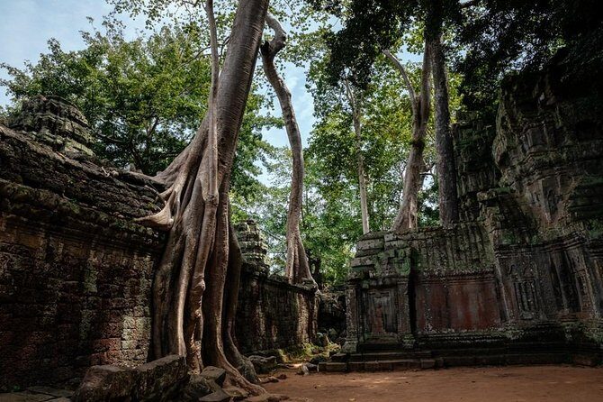 The Ultimate Angkor Wat Temple Private Day Trip - The Sum Up