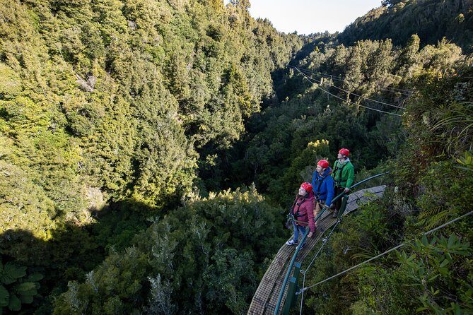 The Ultimate Canopy Zipline Experience Private Tour From Auckland - Introduction: What this Tour Offers