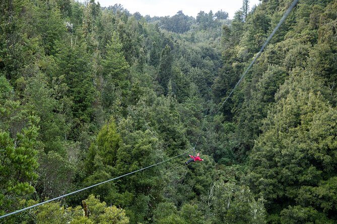 The Ultimate Canopy Zipline Experience Private Tour From Auckland - The Itinerary: What to Expect