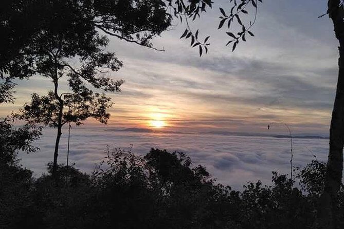 The Ultimate Hikers Choice - 5 days forest trek with homestay and camping - Day 4: Mountain Ridge Crossing and Homestay