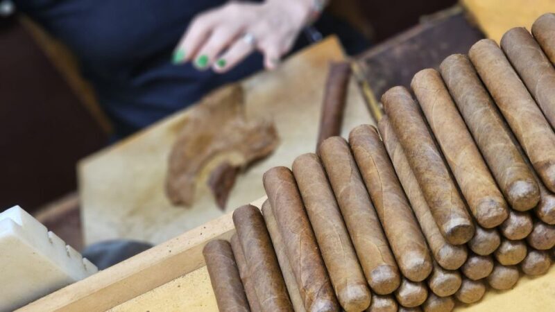 The Ultimate Little Havana Food Tour - The Food Highlights