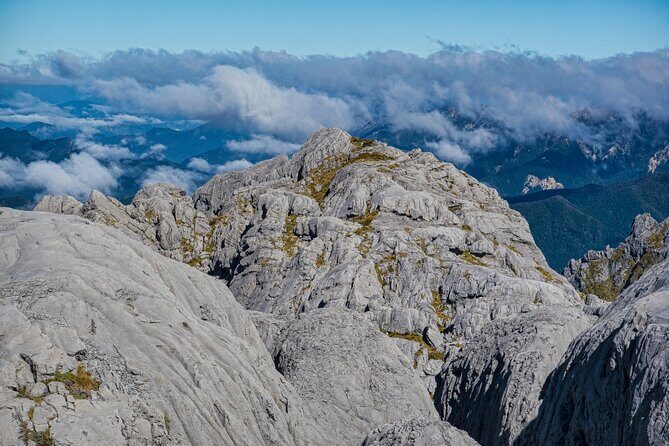 The Ultimate Lord of the Rings Combo Tour - The Value Proposition