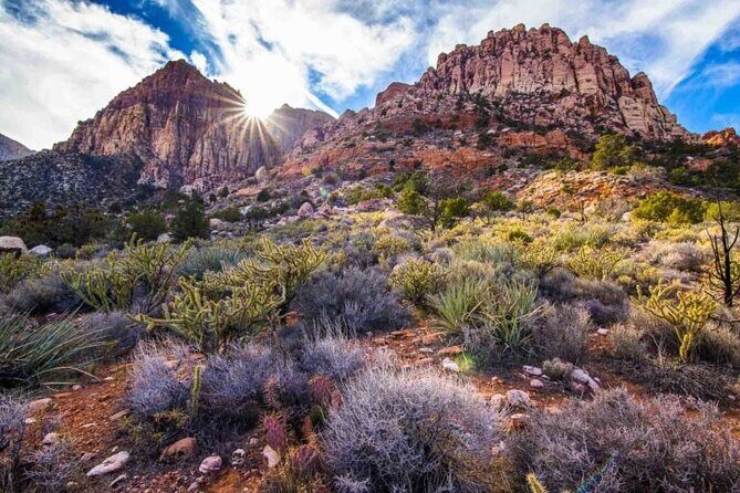 The Ultimate Red Rock Canyon Scenic Experience - The Experience: What Travelers Say