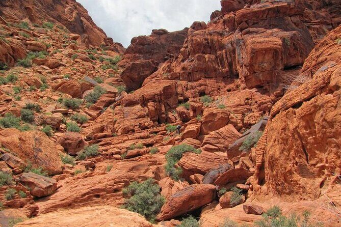 The Ultimate Red Rock Canyon Scenic Experience - Practical Details and Tips