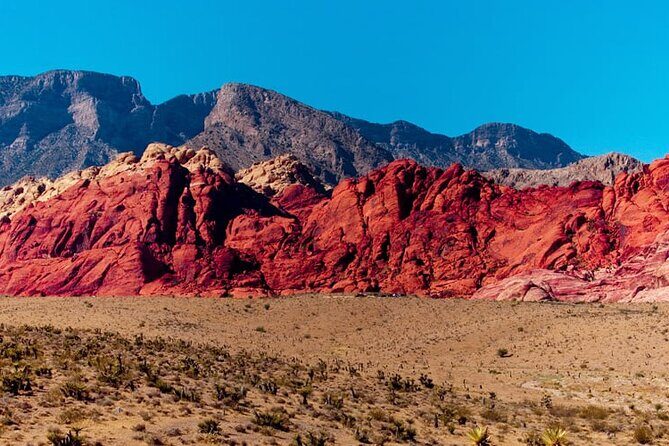 The Ultimate Red Rock Canyon Scenic Experience - The Sum Up