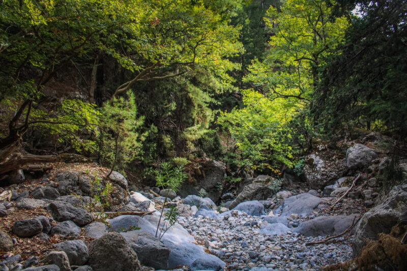 The Unique Tour of Samaria Gorge - Final Thoughts: Who Will Love This Tour?