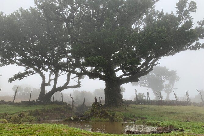 The Untraveled West Tour - A Deep Dive into the Itinerary