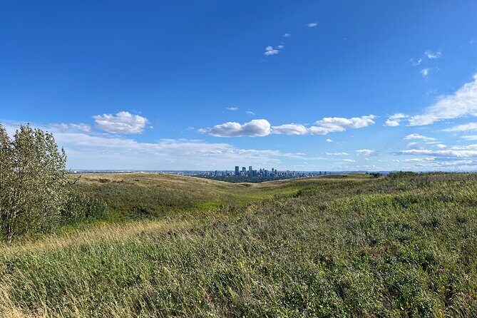 The Urban Wild Calgary Nature Loop Private Tour - The Experience from Past Travelers