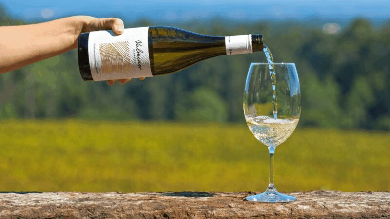 The Valmiñor viewpoint - Key Points