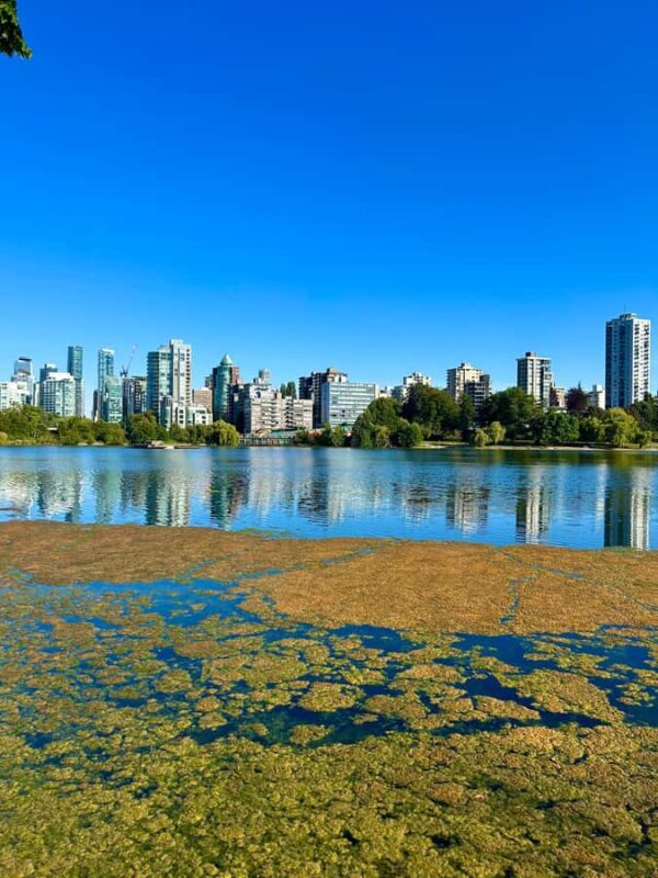 The Vancouver Downtown Walk - Scenic Ferry Ride: A Water Perspective