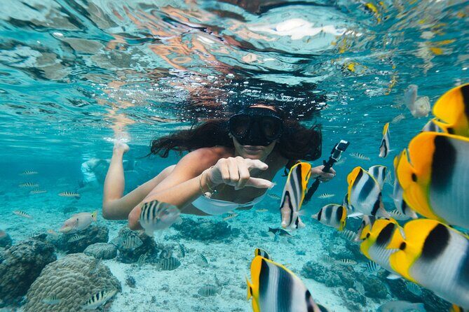The Vanilla tour of Taha'a in a comfortable outrigger canoe - Introduction to the Vanilla Tahaa Experience