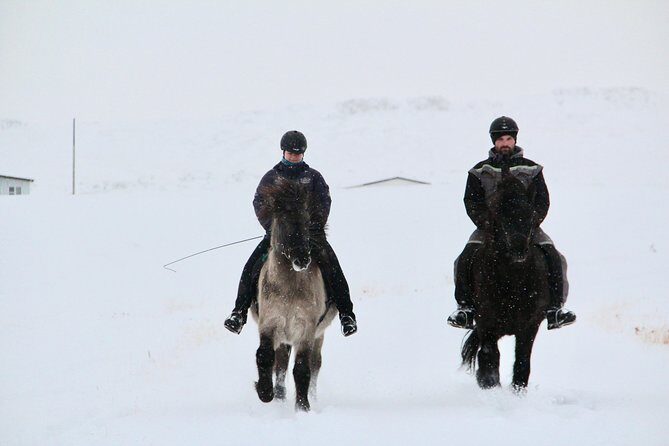 The Viking Horse Riding Experience in North Iceland - Exploring the Details of the Tour