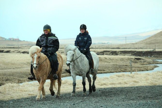 The Viking Horse Riding Experience in North Iceland - The Sum Up