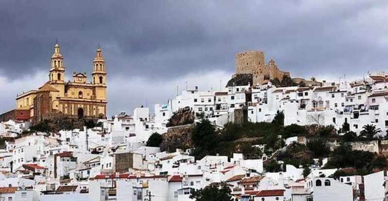 The Villages of Andalusia: Full-Day Trip from Seville - Key Points