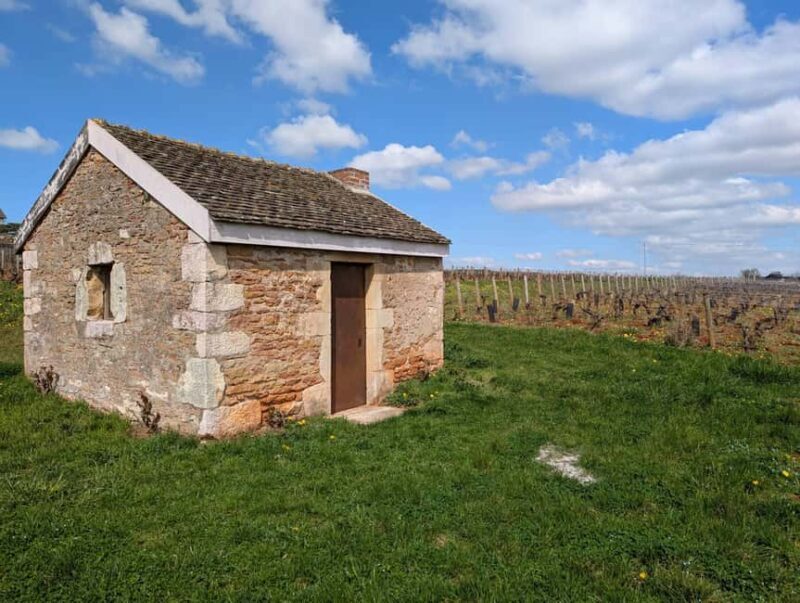 The Vineyard Watchers - An In-Depth Look at The Vineyard Watchers Tour