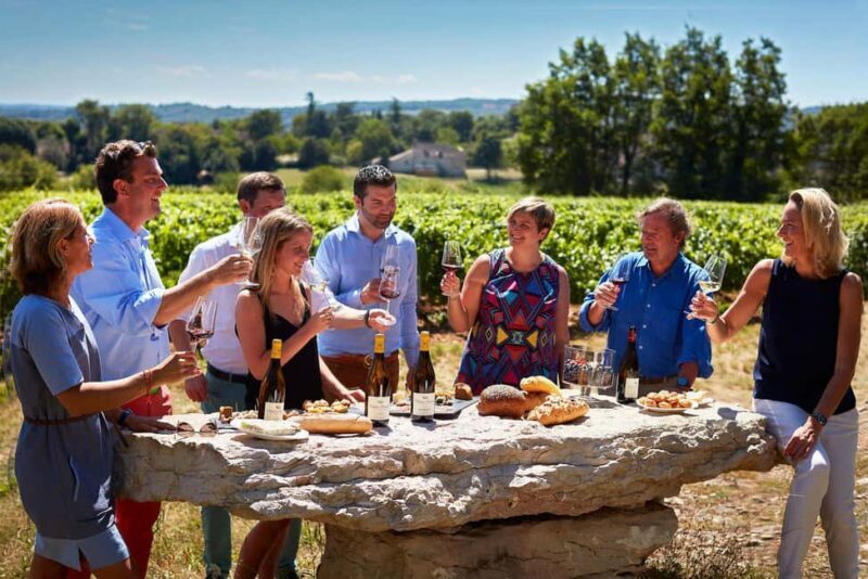 The Vineyard Watchers - Who Will Love This Tour?