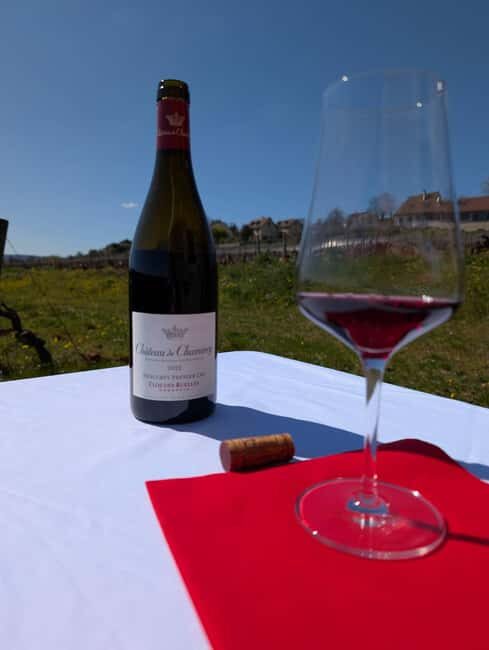 The Vineyard Watchers - FAQ