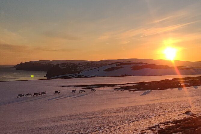 The VIP North cape tour (Honningsvåg - Skarsvåg - the North cape) - Who Is This Tour Best For?