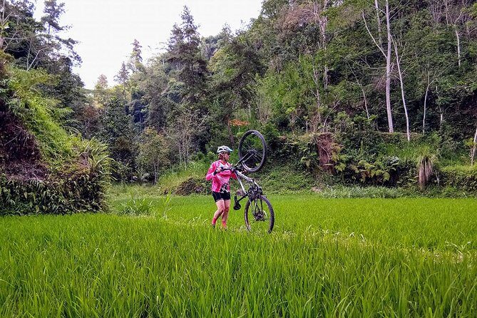 The Volcano Trail - Why This Tour Is Worth It