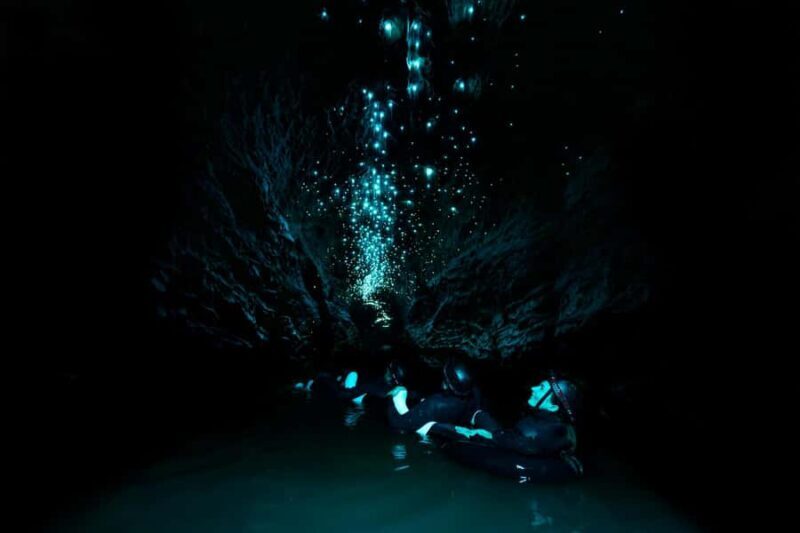 The Waitomo Experience : Okohua Glowworm Cave Tour - Key Points