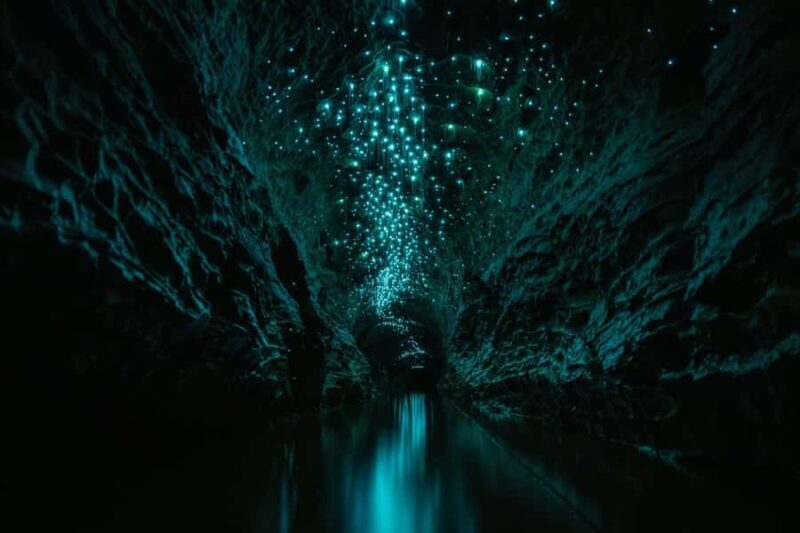 The Waitomo Experience : Okohua Glowworm Cave Tour - What Visitors Are Saying